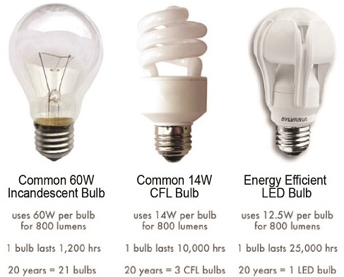 Global LED bulbs average declined slightly in August